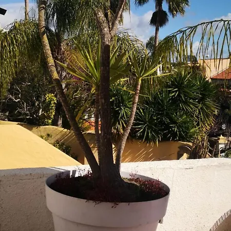 Petit Cocon Avec Piscine Proche Olhao Et Plages