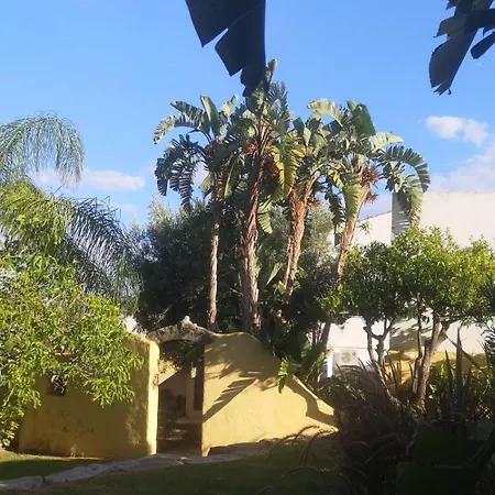 Petit Cocon Avec Piscine Proche Olhao Et Plages Appartamento *