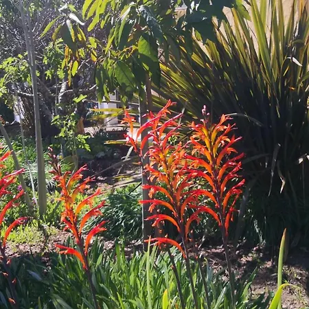 Apartment Petit Cocon Avec Piscine Proche Olhao Et Plages