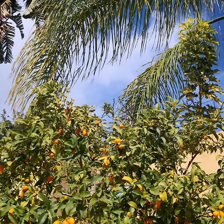 Petit Cocon Avec Piscine Proche Olhao Et Plages *