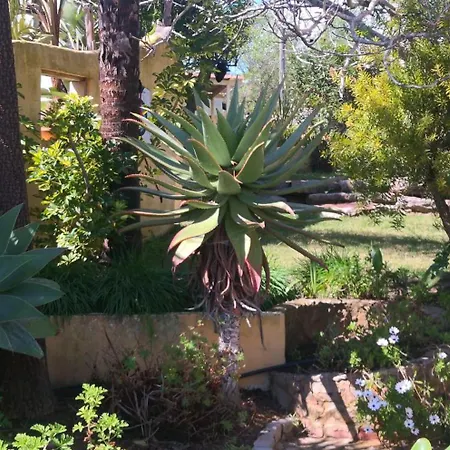公寓 Petit Cocon Avec Piscine Proche Olhao Et Plages Quelfes